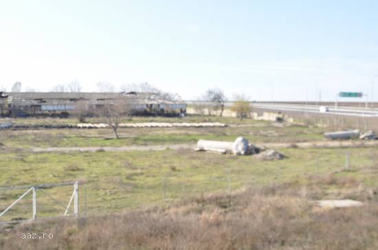Ovidiu - Teren intravilan,     16.032 mp