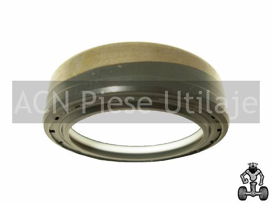 Simering planetara Massey Ferguson 6194911M1