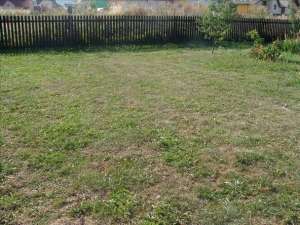 teren central bistrita