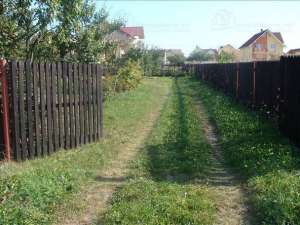 teren central bistrita