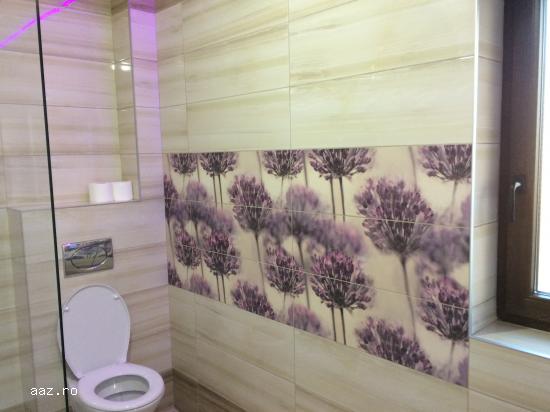 cazare apartament  2 camere Brasov