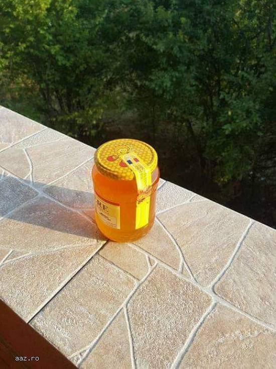 Vand miere de floarea soarelui 100% naturala!!