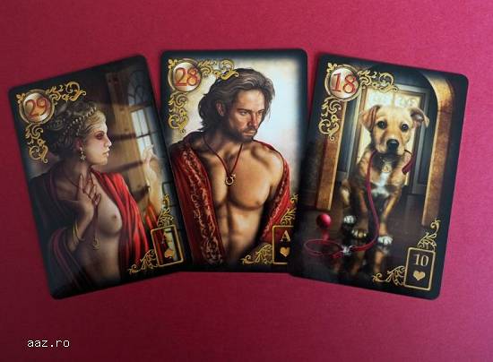Carti tarot gilded reverie lenormand+cadou cartea in limba romana