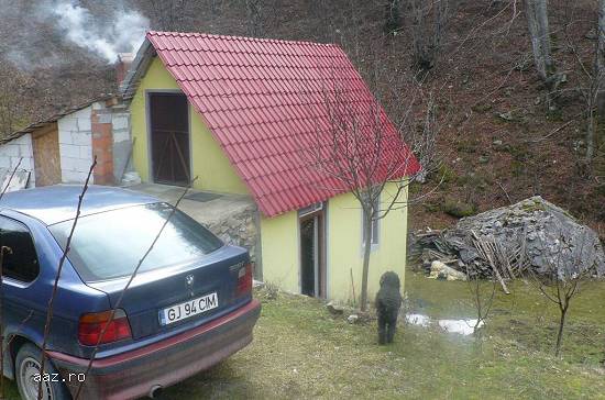 Teren de vanzare cu o mica cabana in zona de munte