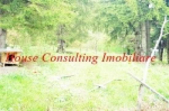 Predeal-teren intravilan Cioplea