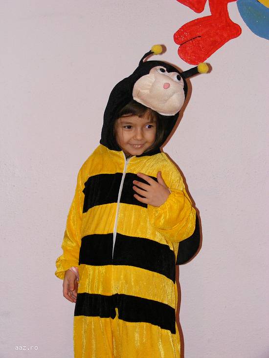 Costume carnaval si accesorii copii