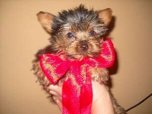 cadoul ideal de valentine