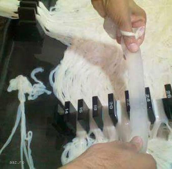 Mațe de oaie Mațe de porc