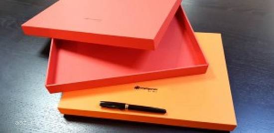Cutii rigide pentru husa IPad