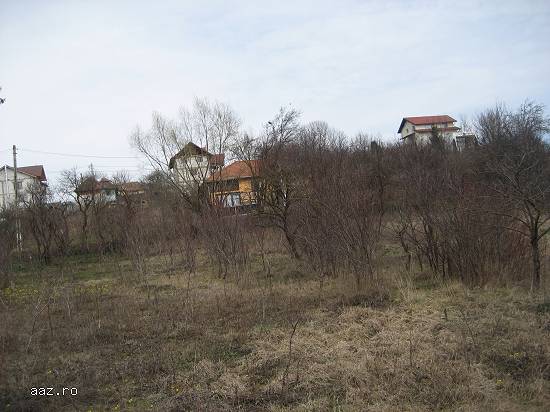 1348 mp teren intravilan SANDULESTI