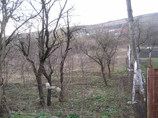 1348 mp teren intravilan SANDULESTI