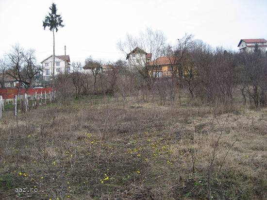 1348 mp teren intravilan SANDULESTI