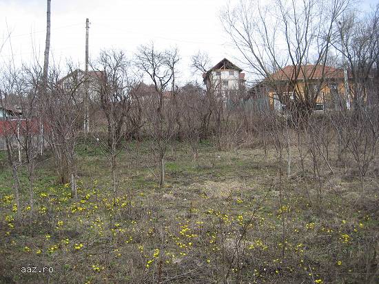 1348 mp teren intravilan SANDULESTI