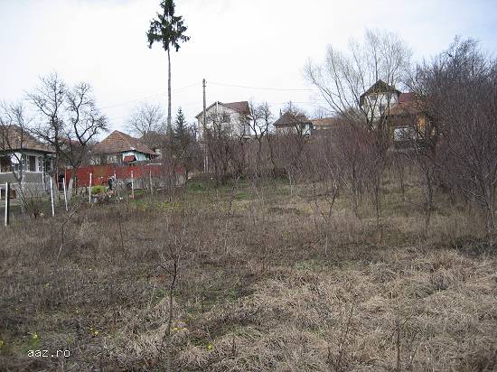 1348 mp teren intravilan SANDULESTI