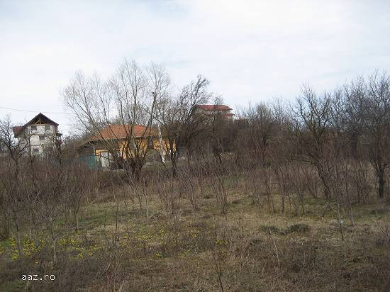 1348 mp teren intravilan SANDULESTI