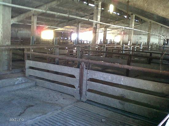 Proprietate imobiliara,   Ghiorac,   jud. Bihor