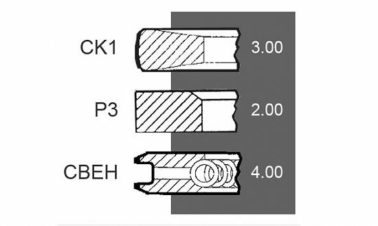 Set segmenti motor Fendt seria Farmer 300
