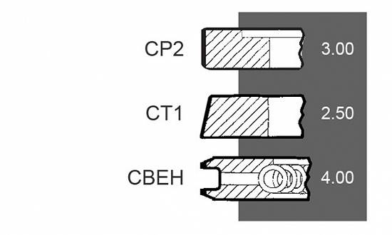 Set segmenti motor Same seria Frutteto II