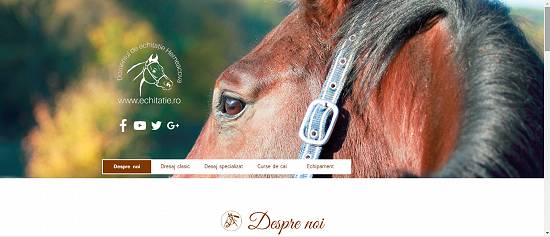Curs Responsive Web Design