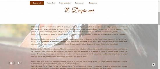 Curs Responsive Web Design