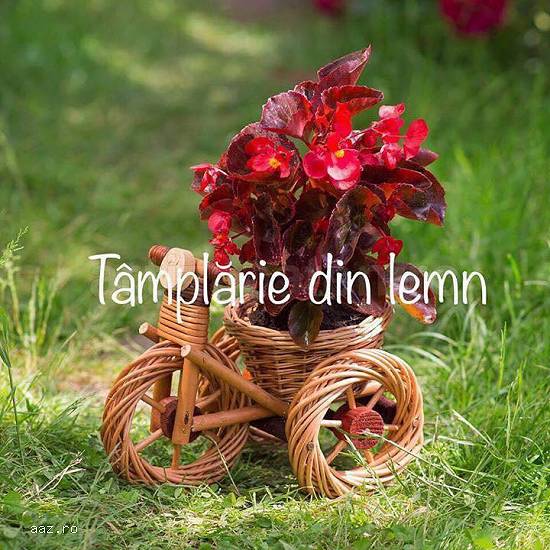 Suport flori Bicicleta si tractor rustica,   din rachita