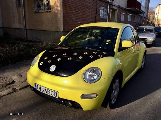 Vw New Beetle