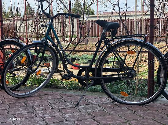 BICICLETE