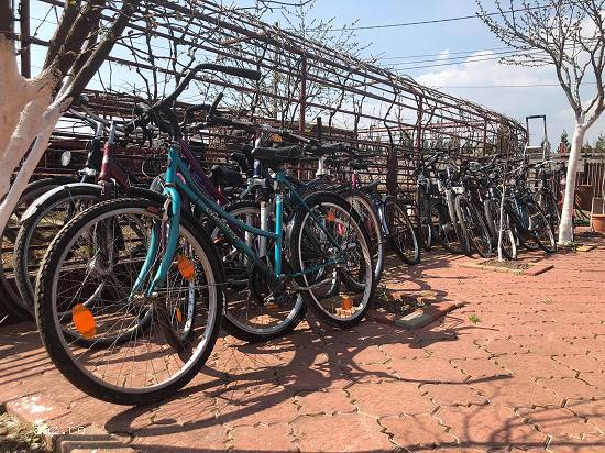 BICICLETE
