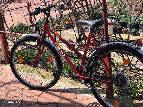 BICICLETE