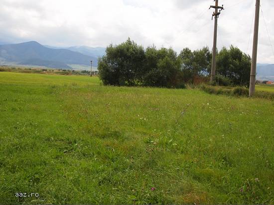 Vand teren in loc. Cristian,   jud. Sibiu