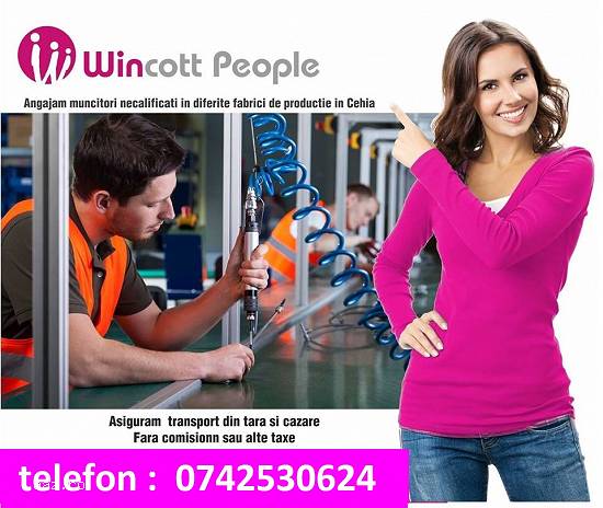 Angajam neacalificati