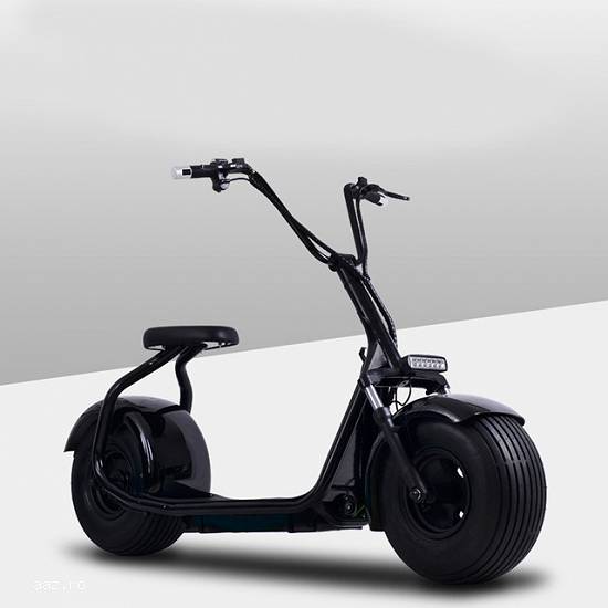 Citycoco Scooter electronic