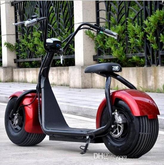 Citycoco Scooter electronic