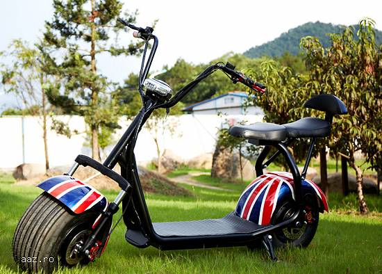 Citycoco Scooter electronic