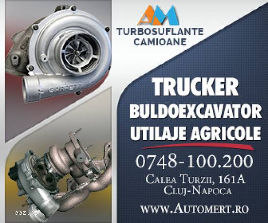 Service Auto Cluj autorizat RAR