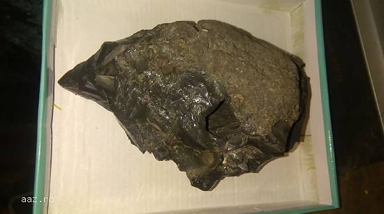 Meteorit (Tekkitata neagra)