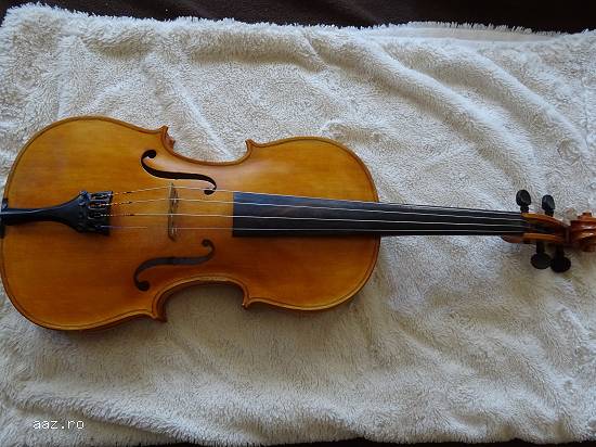Viola scoala romaneasca