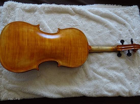 Viola scoala romaneasca