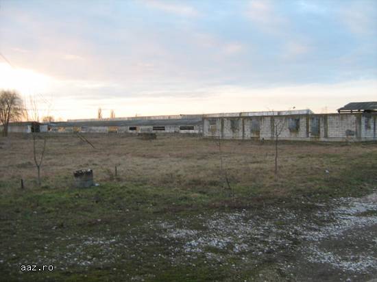 Proprietate imobiliara,   Ghiorac,   jud. Bihor