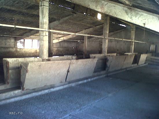 Proprietate imobiliara,   Ghiorac,   jud. Bihor