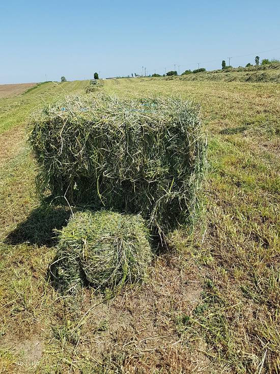 VAND BALOTI DE LUCERNA i cu transport