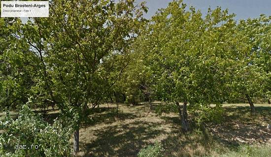 teren 16 km Pitesti (pretabil fermă,   pensiune,   casă de vacanță)