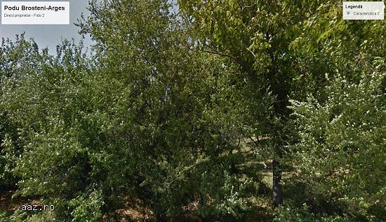 teren 16 km Pitesti (pretabil fermă,   pensiune,   casă de vacanță)
