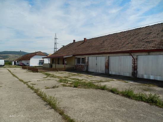 Ferma ciupercarie,   3 hale si locuinta,   4 Ha teren,  