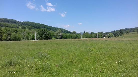 teren intravilan -10 parcele 2000 mp lang padure