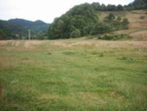 teren poiana brasov