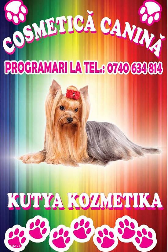 Salon cosmetica canina Aniko Satu Mare Closca