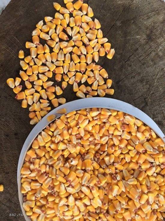 Cereale - Legume - Fructe de la producator