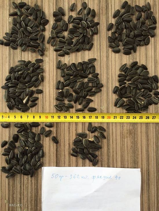 Cereale - Legume - Fructe de la producator