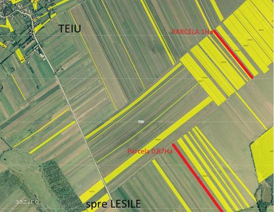 Vand teren agricol 1.87Ha,   Teiu,   Arges,   2 parcele,   cadastru,   intabulare,   20000lei/Ha,   